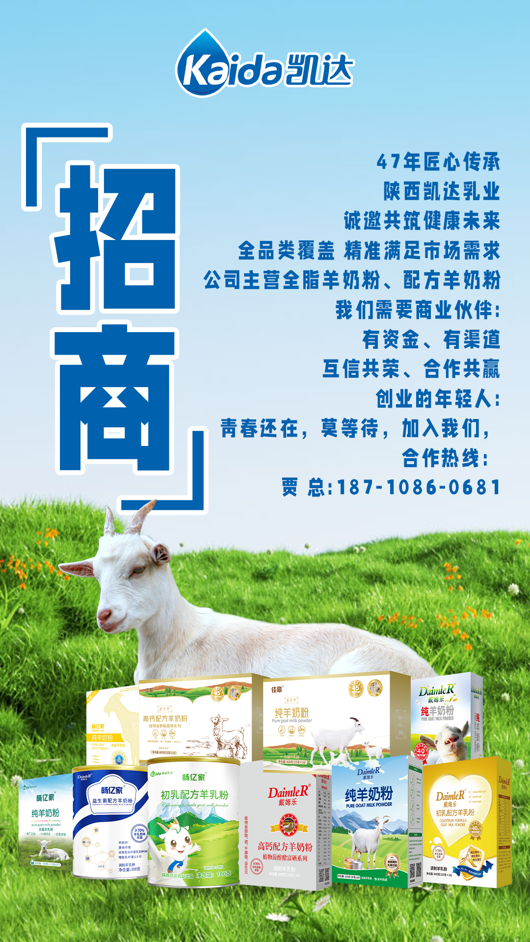 凯达招商.png